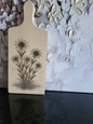 Schneide- oder Servierbrett aus Buchenholz mit einem klassischen Alpenmotiv. Die Lasergravur zeigt ein Büschel Edelweiss-Blumen. Ideal für Liebhaber der Bergwelt und als stilvolle Dekoration für die Küche oder zum Servieren von Speisen.